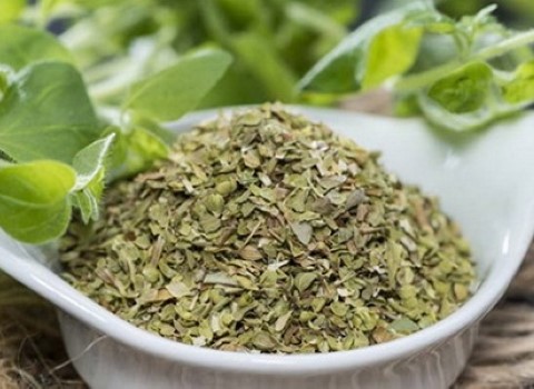 تصویر 4 از قیمت گیاه دارویی پونه با کیفیت ارزان + خرید عمده